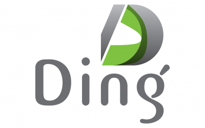 استارتاپ دینگ